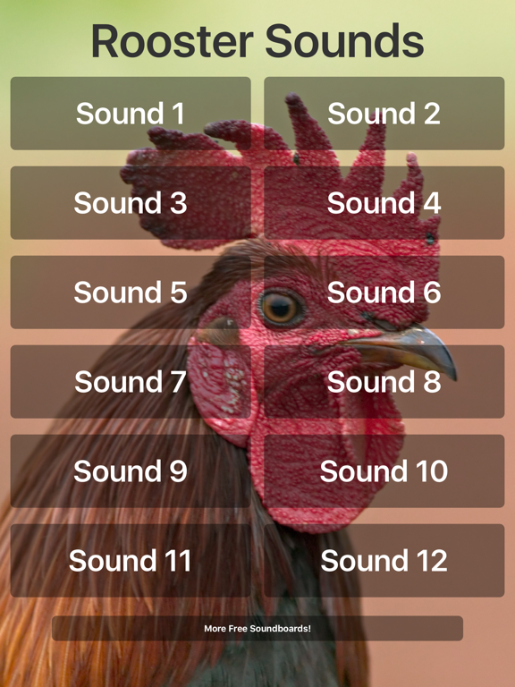 Rooster Sounds