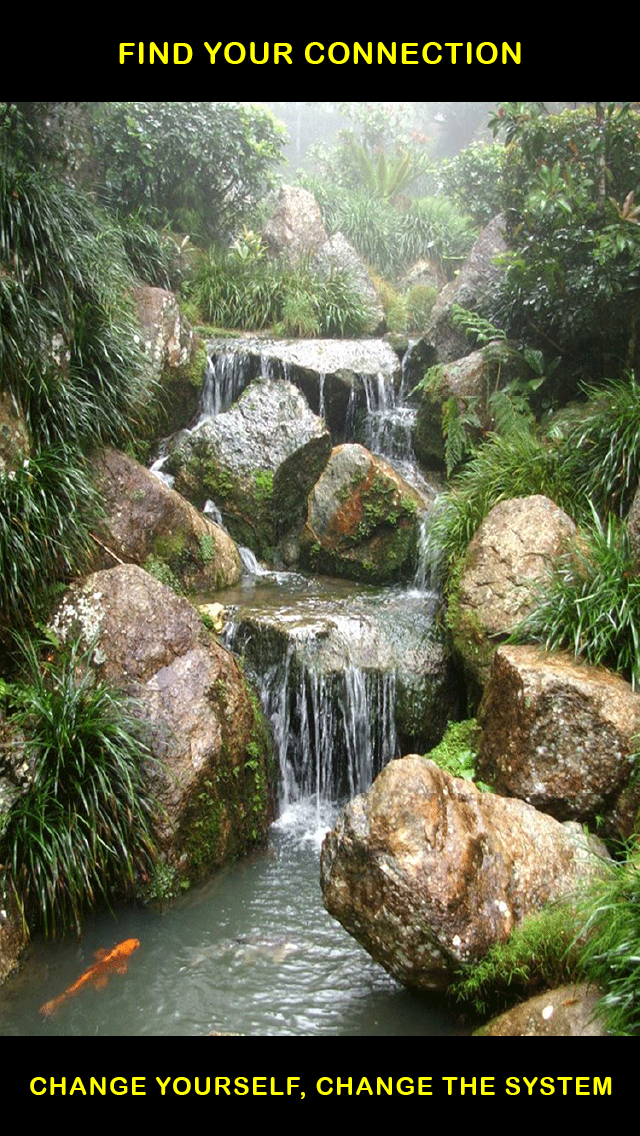 MHRG Mental Health Recovery Guide - Best Self-Help Tips and Support For Patients With Depression Schizophrenia Or Bi-Polar Disorder