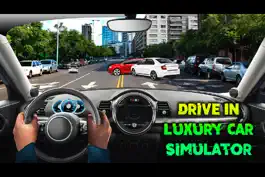 Game screenshot Drive In Luxury Car Simulator mod apk
