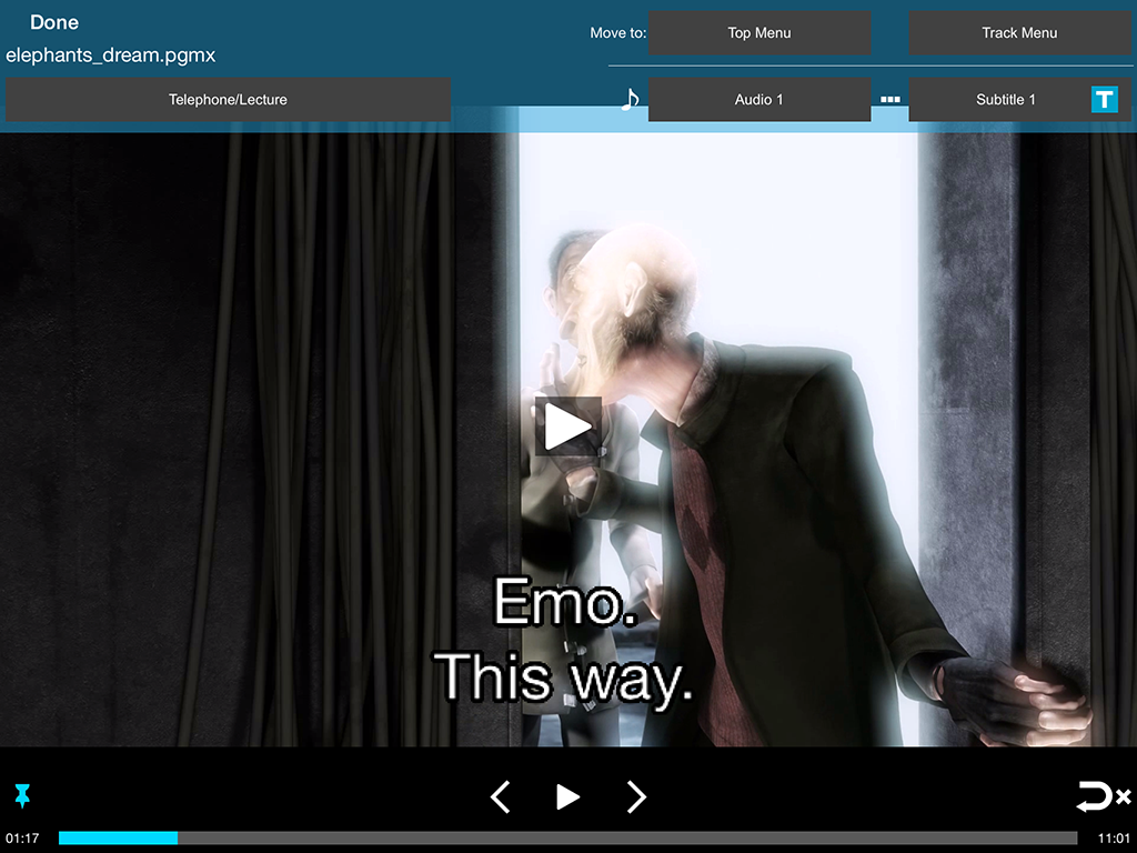 TMPGEnc PGMX PLAYER