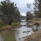 The Riparian and Aquatic Management Monitoring app is used to monitor onground activities that aim to restore river health and habitat values, including native revegetation, river bank improvement and weed control