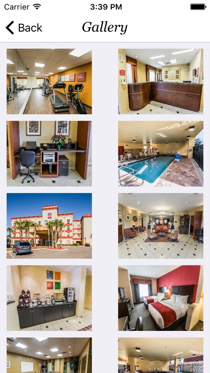 Comfort Suites Jacksonville Fl By Amey Patil
