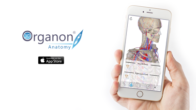 3D Organon Anatomy - Heart, Arteries, and Veins Screenshot