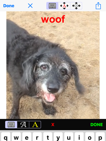 Screenshot #4 pour iMagiGIF - time-bending animated GIF maker camera