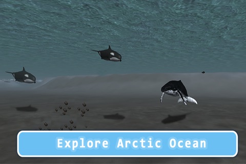 Orca Killer Whale Survival Simulator 3D Full - Play as orca, big ocean predator! screenshot 3