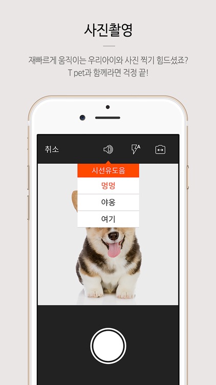 T pet (티펫) - 반려동물과의 새로운 소통