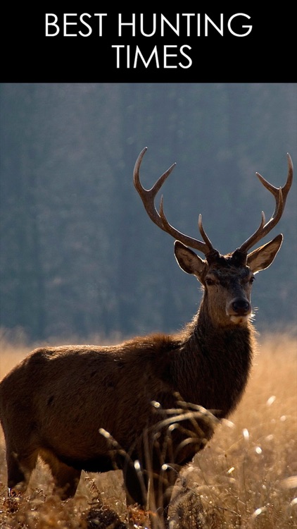 Solunar Best Hunting Times - Includes HD Deer Calls, Moon Phases, Detailed Weather & More