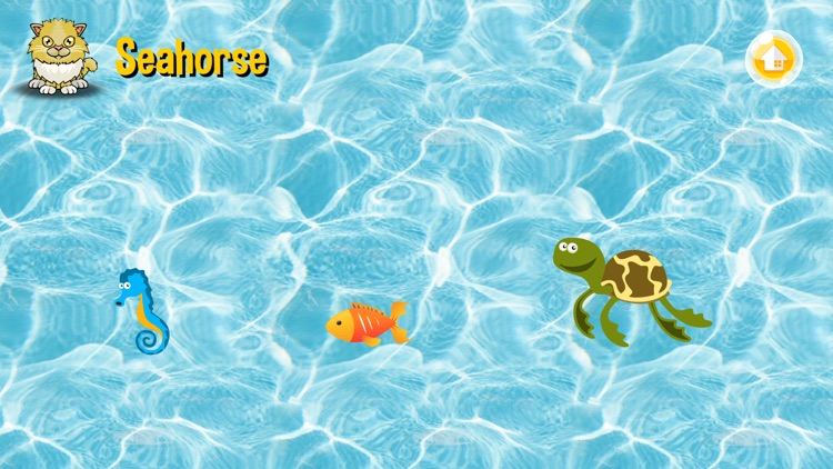 Learning Animals with Sesame