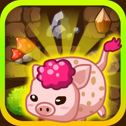 Catch Naughty Pigs iOS App