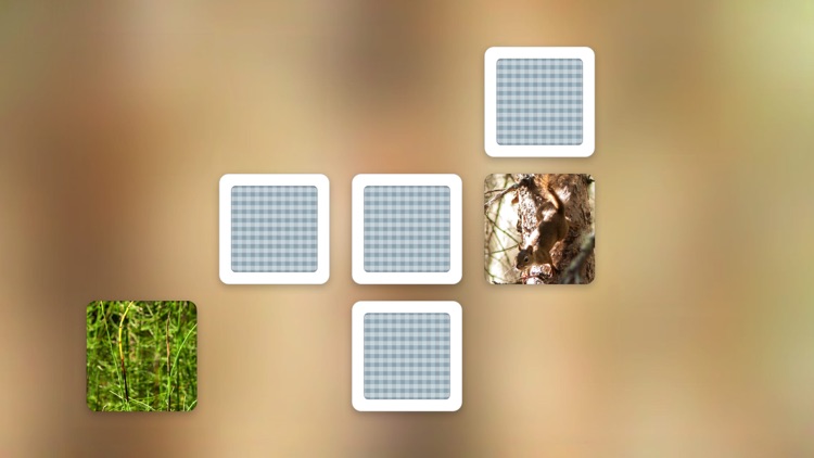 Picture Match