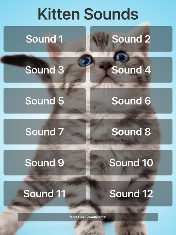 Kitten Sounds!