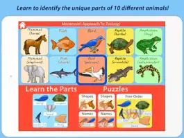 Game screenshot Parts Of Animals (Vertebrates) LITE - A Montessori Approach to Zoology HD apk