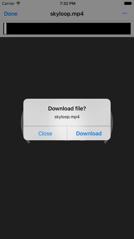 #1. QWE Downloads PRO. Downloader and File Manager (iOS) 由: Baulin Roman