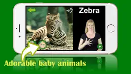 Game screenshot ASL Animals hack