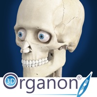 3D Organon Anatomy - Skeleton, Bones, and Ligaments apk