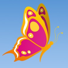 Activities of Fly Butterfly: Tap-to-Bounce Arcade Game