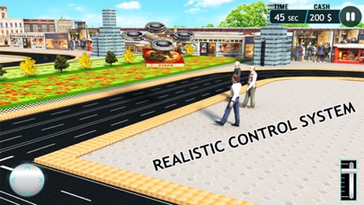 Drone Pizza Delivery Sim screenshot