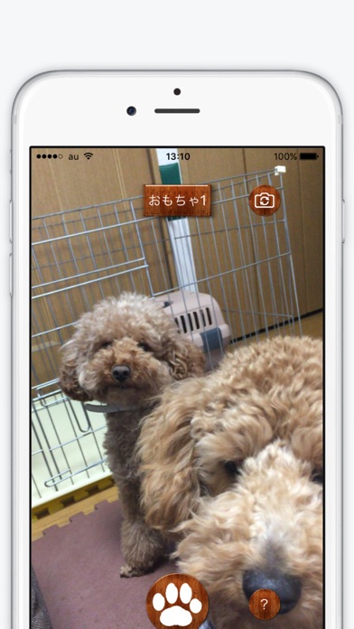 Dog-Lover-Camのおすすめ画像3