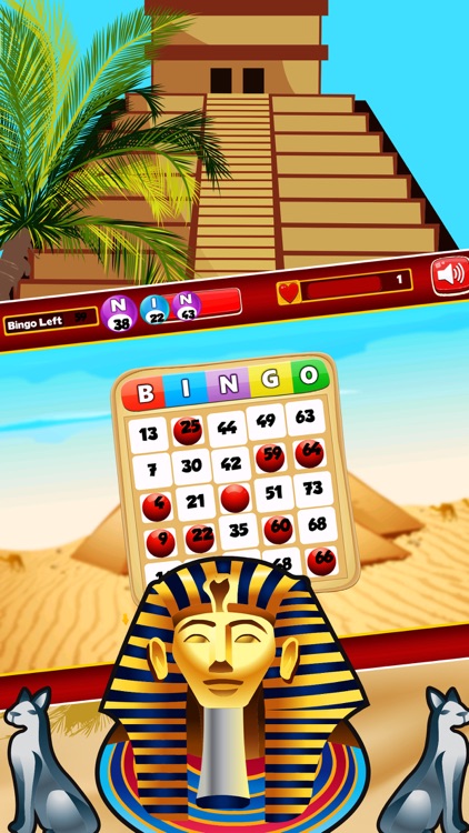 Crazy Bingo Fun Premium - MMM Bingo