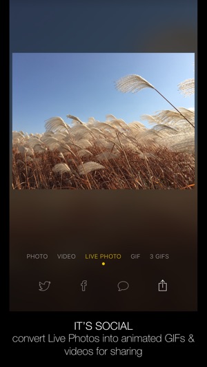 Alive - Create & Share Animated Collages for Live Photos and(圖2)-速報App