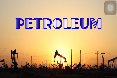 PetroleumDictionary screenshot 2