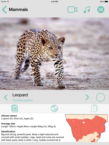 Screenshot #6 pour Sasol Mammals for Beginners (Lite): Quick facts, photos and videos of 46 southern African mammals