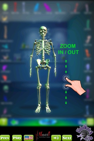 GM4L Skeleton Bone Game screenshot 2