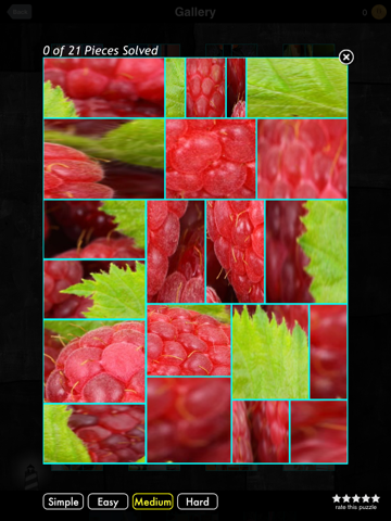 Screenshot #1 for Kento Jigsaw Picture Puzzles