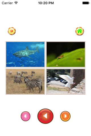 Animal sounds - App for kids screenshot 3