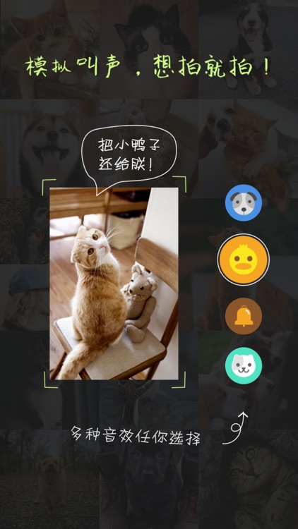 超萌相机-最nice的贴图涂鸦潮自拍神器（好用的宠物·拍照软件）