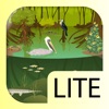 iBiome-Wetland Lite