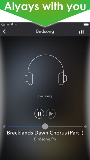 Zen music for relaxation and meditation - Amazing portable Z(圖3)-速報App