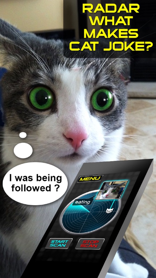 #1. Radar What Makes Cat Joke (iOS) 由: Stepan Ivanov