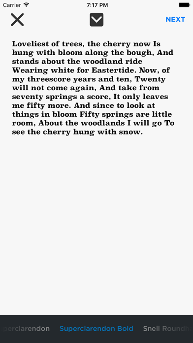 Screenshot #2 pour Portraitype