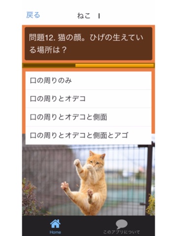 Screenshot #5 pour ネコクイズにゃん