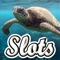 Deep Sea Turtle Slots - Big Payouts and Mega Wins!