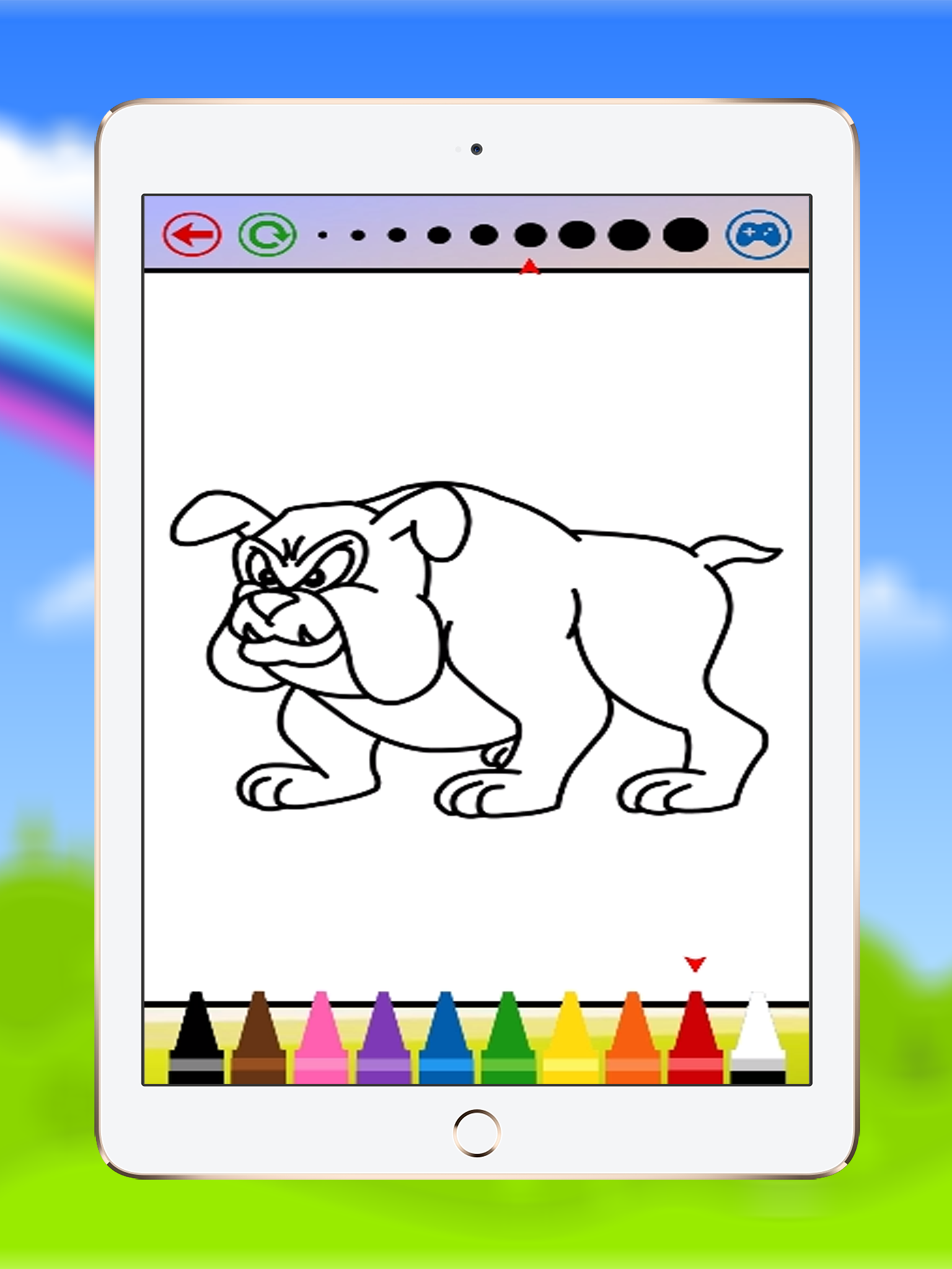 Coloring Book The Dog For kids of all ages