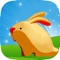 Icon !!! Crazy Rabbit Run Escape Game Free