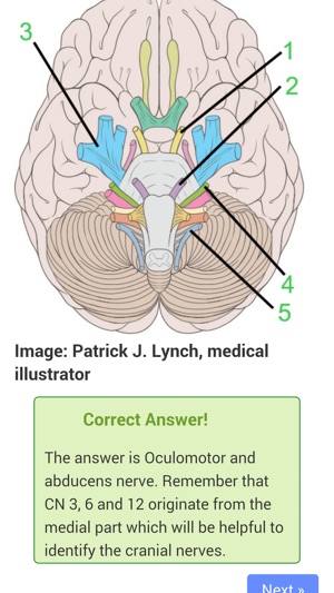 USMLE Neurology Review(圖3)-速報App