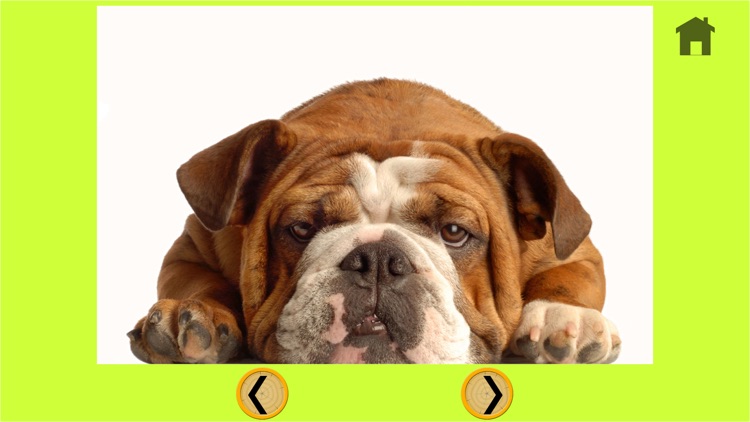 prodigious dogs for kids - free screenshot-4