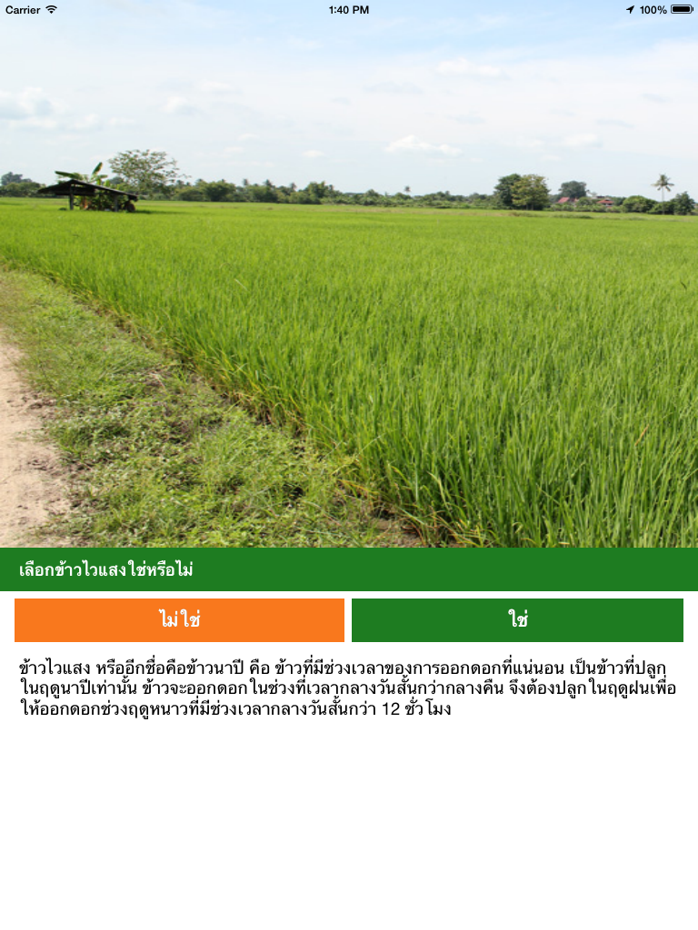 Onfarm Thai LDD