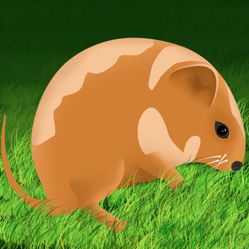 Amazing Hamster Jump Adventure Pro - crazy speed running arcade game iOS App