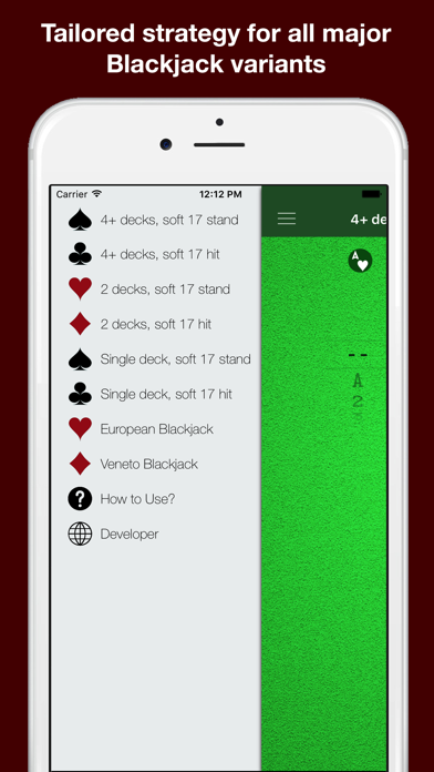 Black Jack Strategy Assistant Screenshot