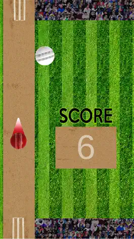 Game screenshot Bing Bong Cricket apk
