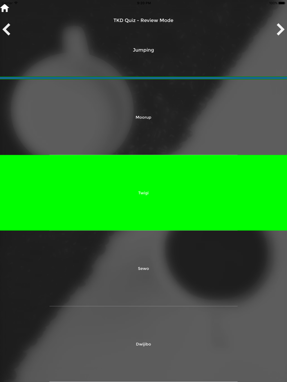 TKD Quiz - TAGB TaeKwonDo Grading Questions iPad screenshot
