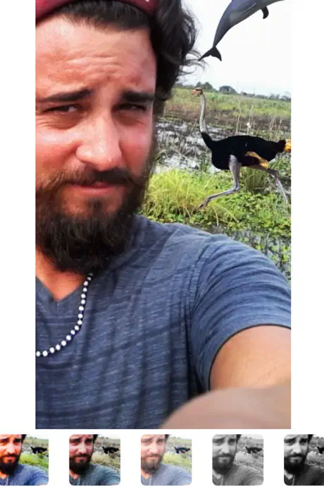Selfie Photobombs Free
