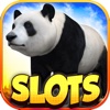 ‘A Wild Panda Slot Machine HD: FREE