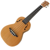 Teach Yourself To Play Ukulele free