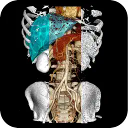 VR Body Guide app icon