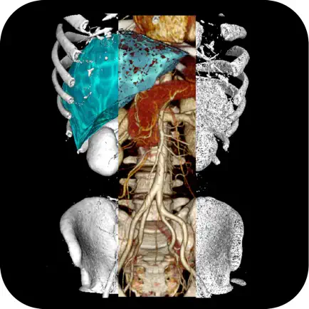 VR Body Guide Читы